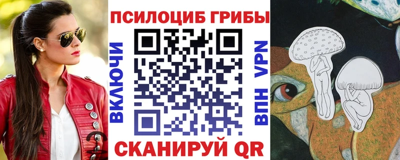 kraken зеркало  как найти наркотики  Каневская  Псилоцибиновые грибы Psilocybe 